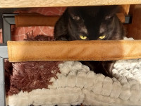 /album/06-03-2026/whatsapp-image-2026-03-06-at-10-00-05-jpeg/